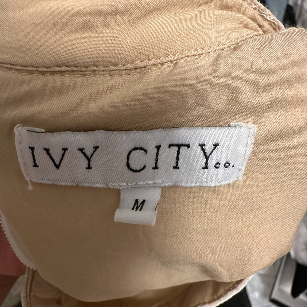 Ivy City Co - Sicily Dress - Champagne - Picture 4 of 4